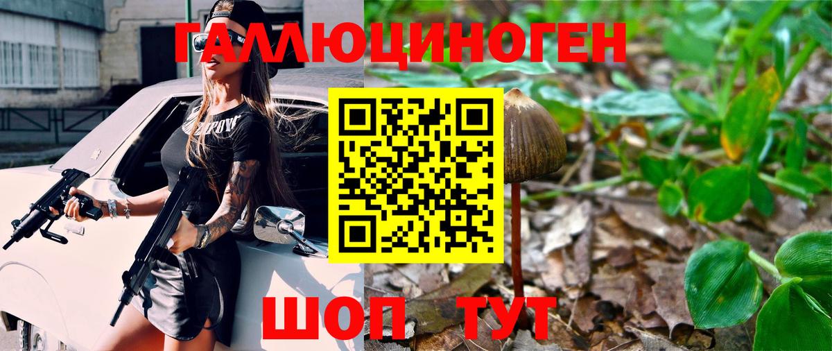 Галлюциногенные грибы Cubensis  где найти наркотики  Котовск  Вход с VPN 