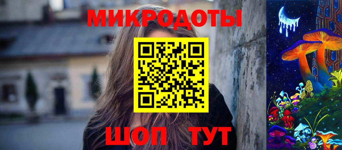 Псилоцибиновые грибы Psilocybe Котовск
